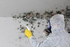 Best Mold Remediation for Healthcare Facilities  in Rocky Point, NY